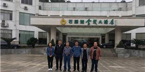 李频导演与电视剧《长沙故事》主创团队在长沙市跳马采风